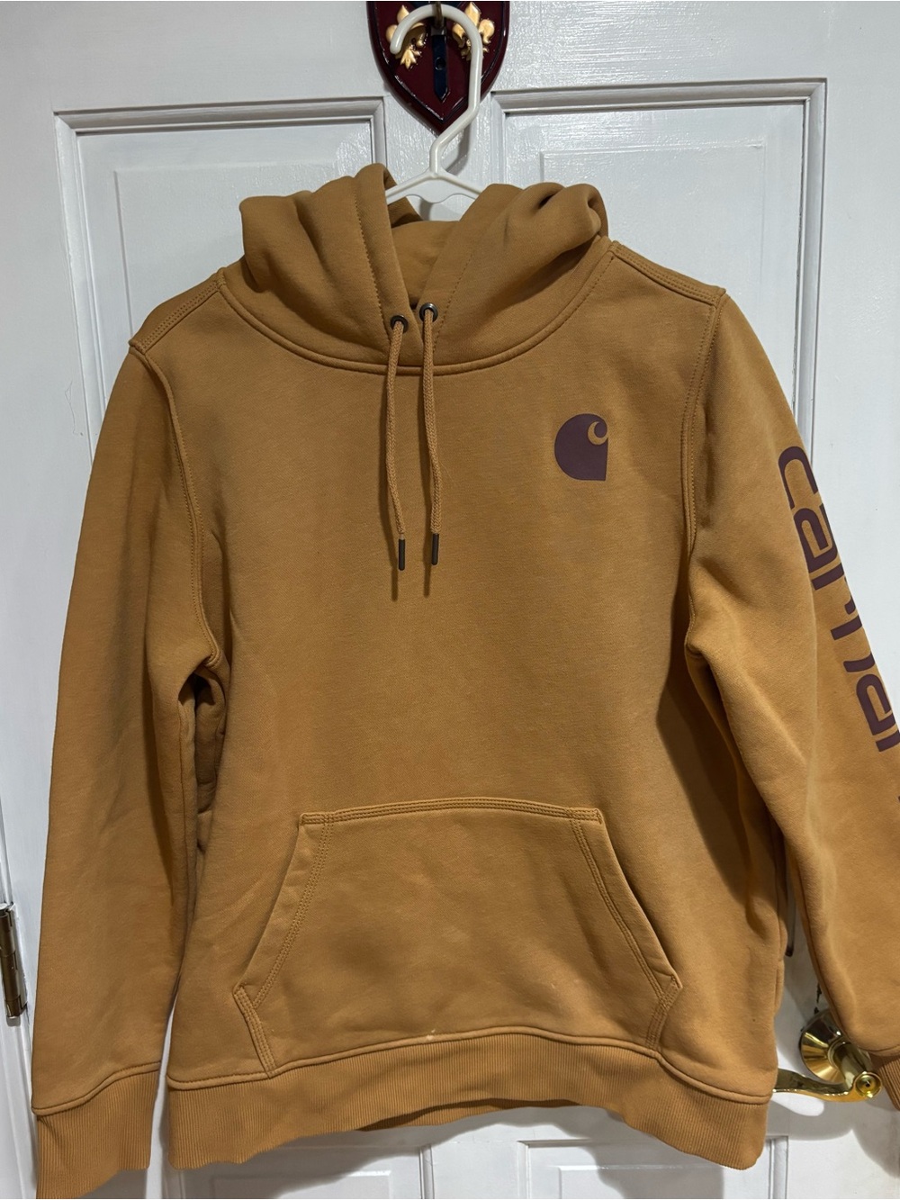 Carhartt boys  Hooded Sweatshirt in Carhartt gold/brown